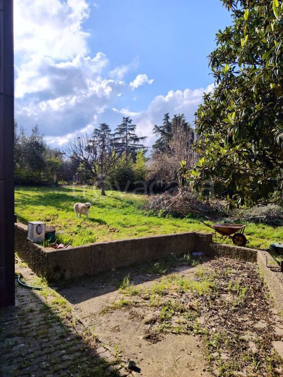 immagine annuncio 8 di 9