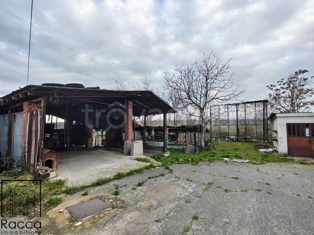 immagine annuncio 7 di 12