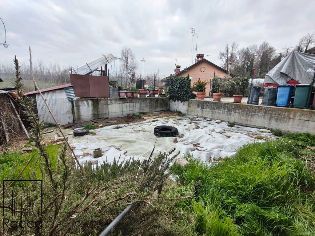 immagine annuncio 10 di 12