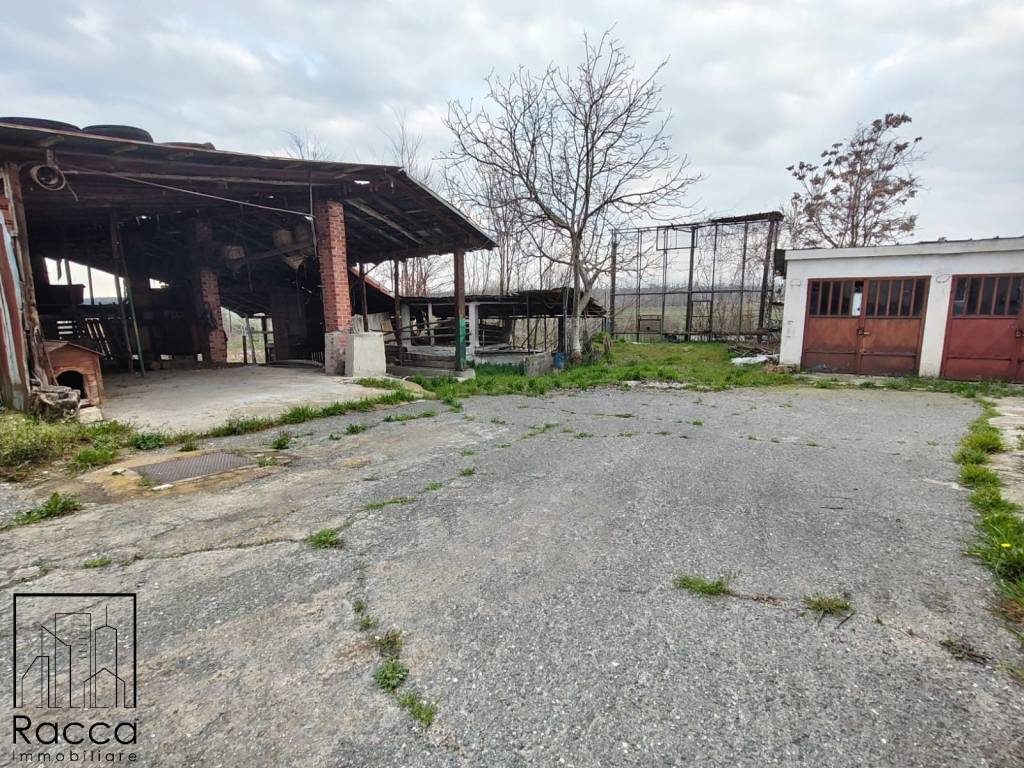 immagine annuncio 11 di 12