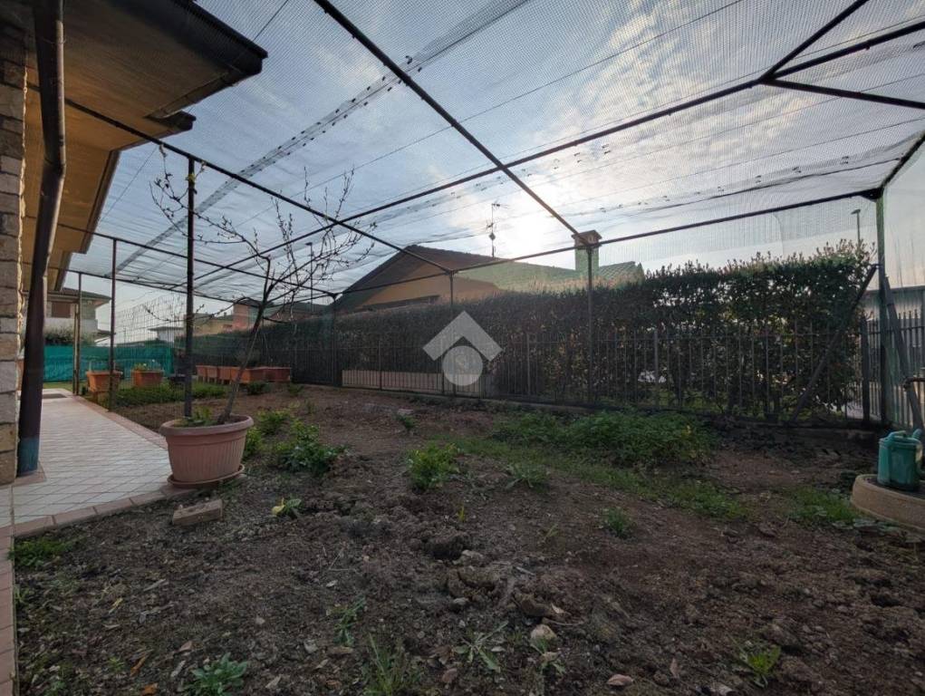 immagine annuncio 7 di 15