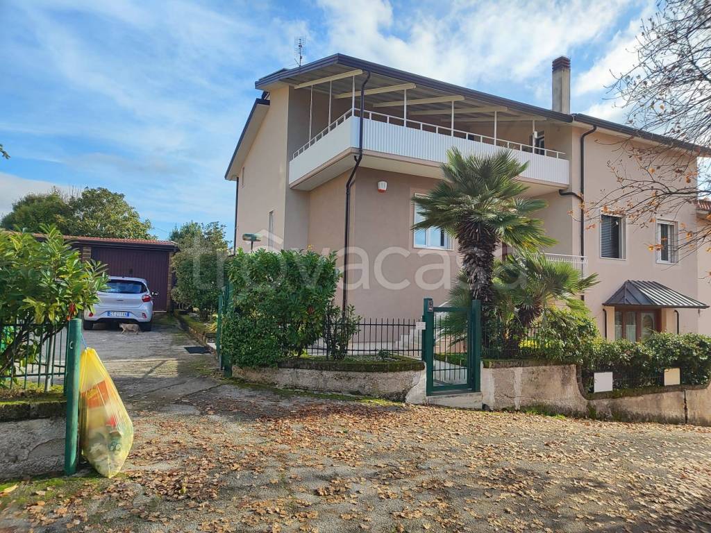 immagine annuncio 11 di 14