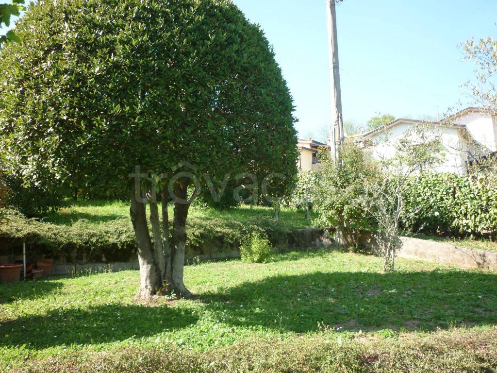 immagine annuncio 13 di 14