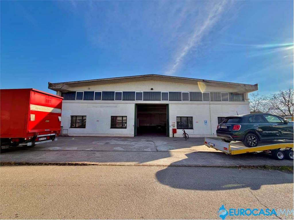 immagine annuncio 1 di 11