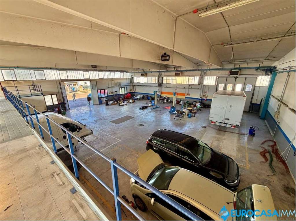 immagine annuncio 2 di 11