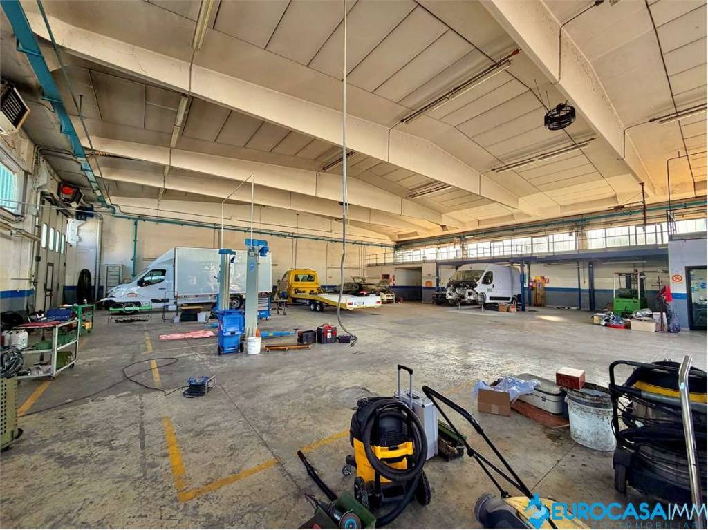 immagine annuncio 3 di 11