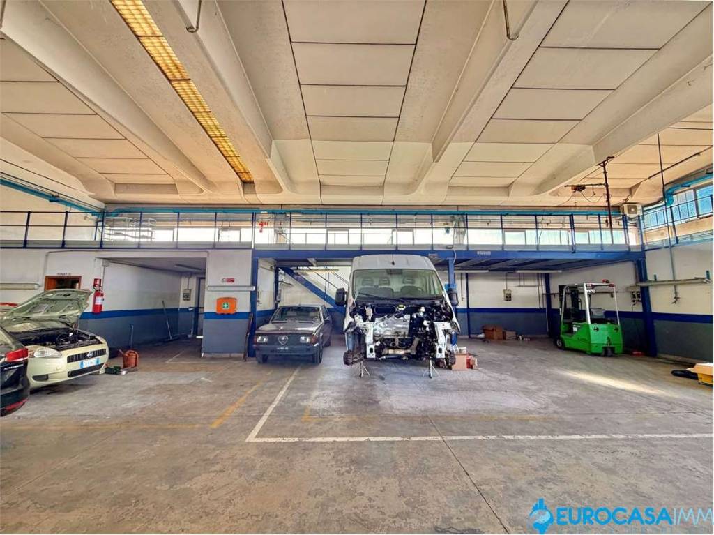 immagine annuncio 4 di 11