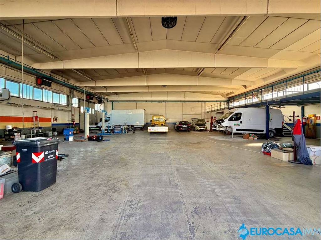 immagine annuncio 5 di 11