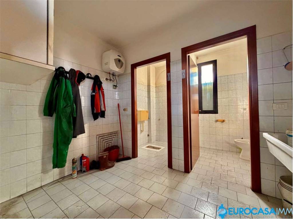 immagine annuncio 7 di 11