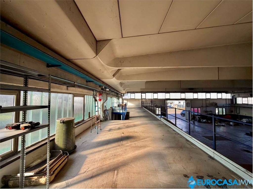 immagine annuncio 8 di 11