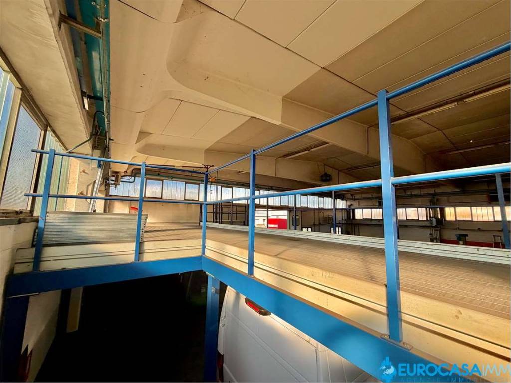 immagine annuncio 9 di 11