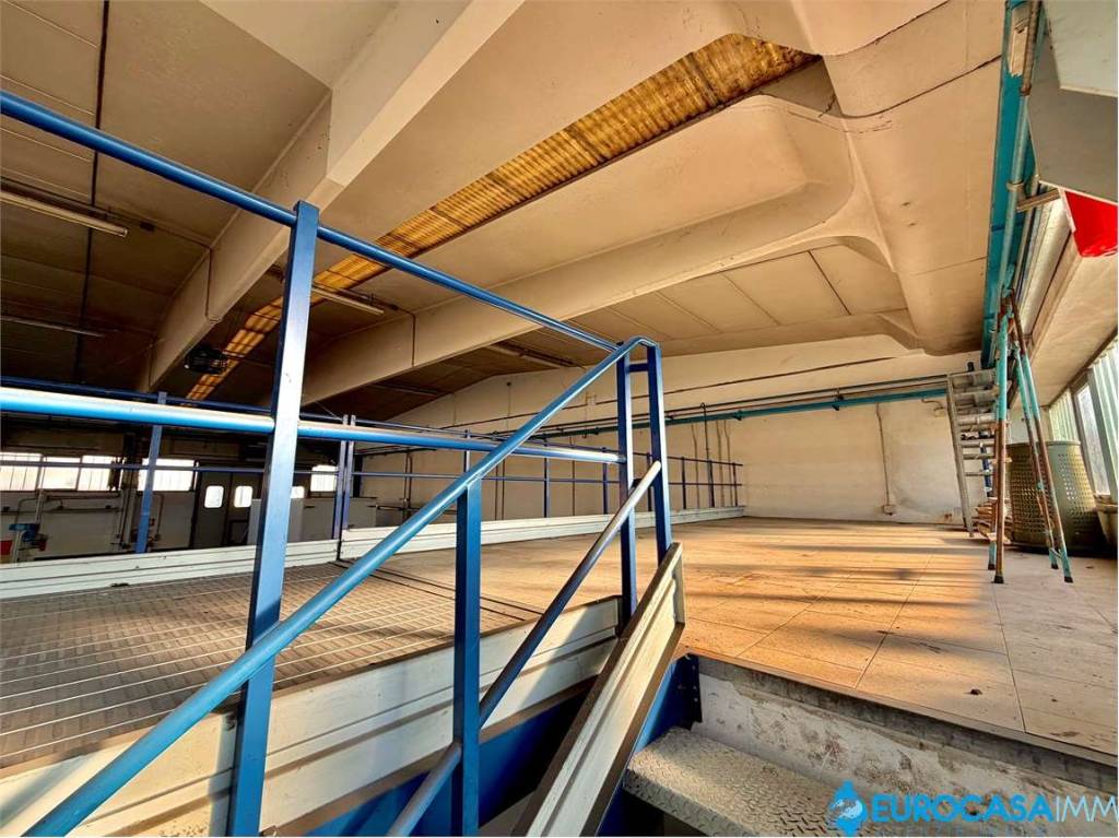 immagine annuncio 10 di 11