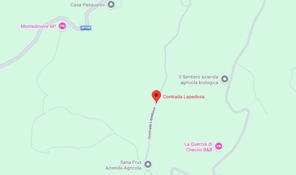 immagine annuncio 3 di 9