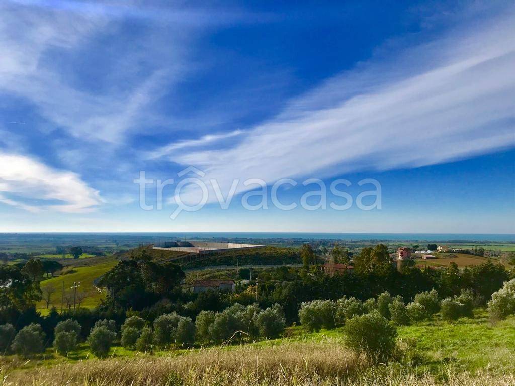 immagine annuncio 3 di 6