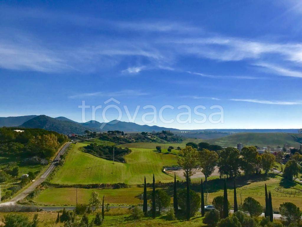 immagine annuncio 4 di 6