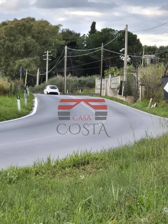 immagine annuncio 5 di 12