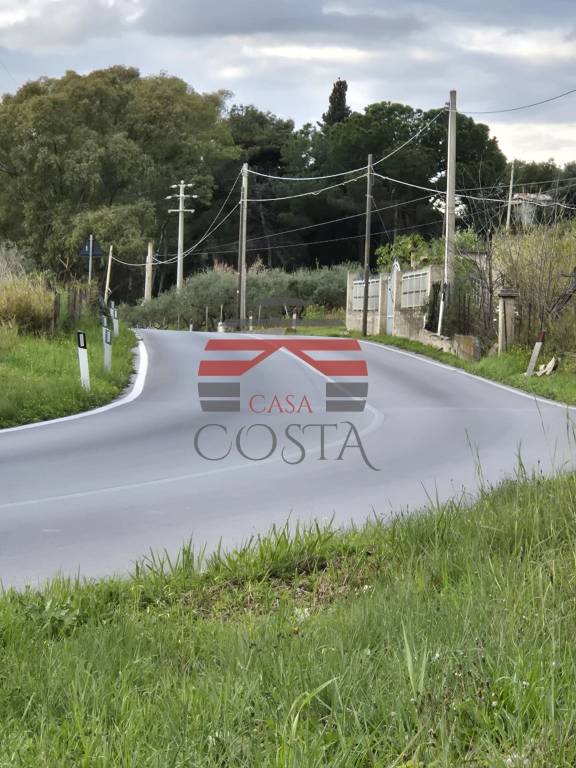 immagine annuncio 6 di 12