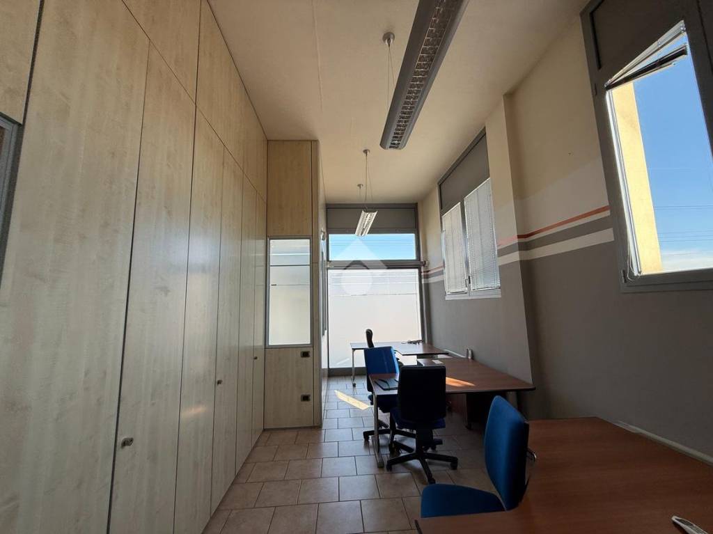 immagine annuncio 1 di 12