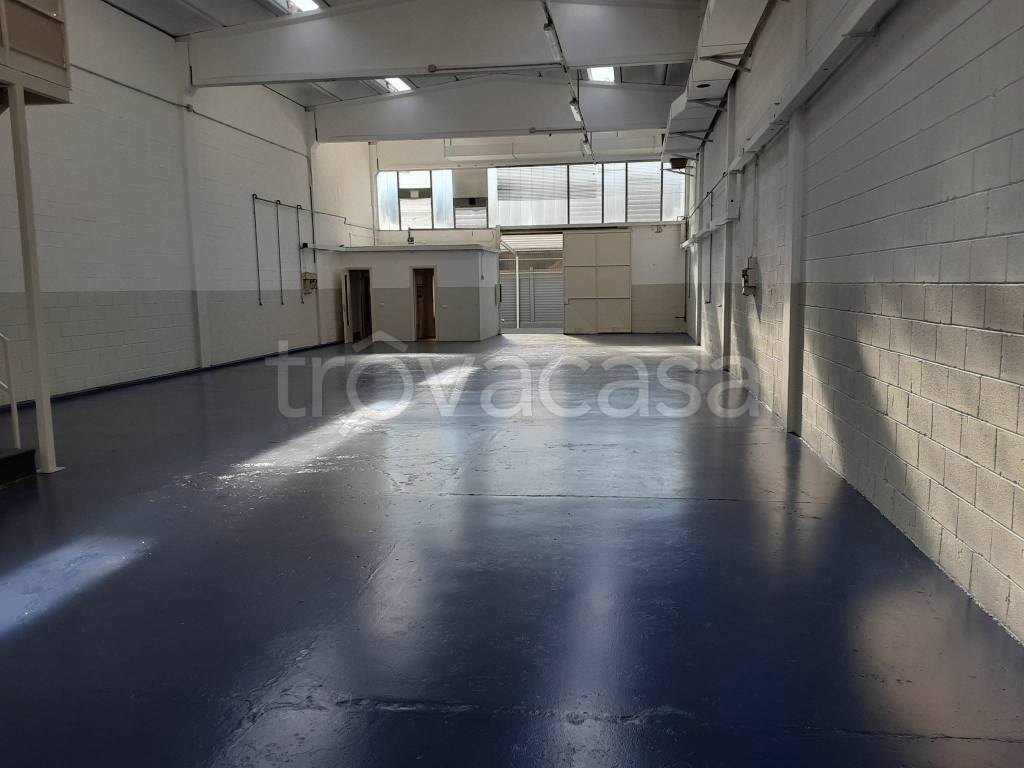 immagine annuncio 9 di 15