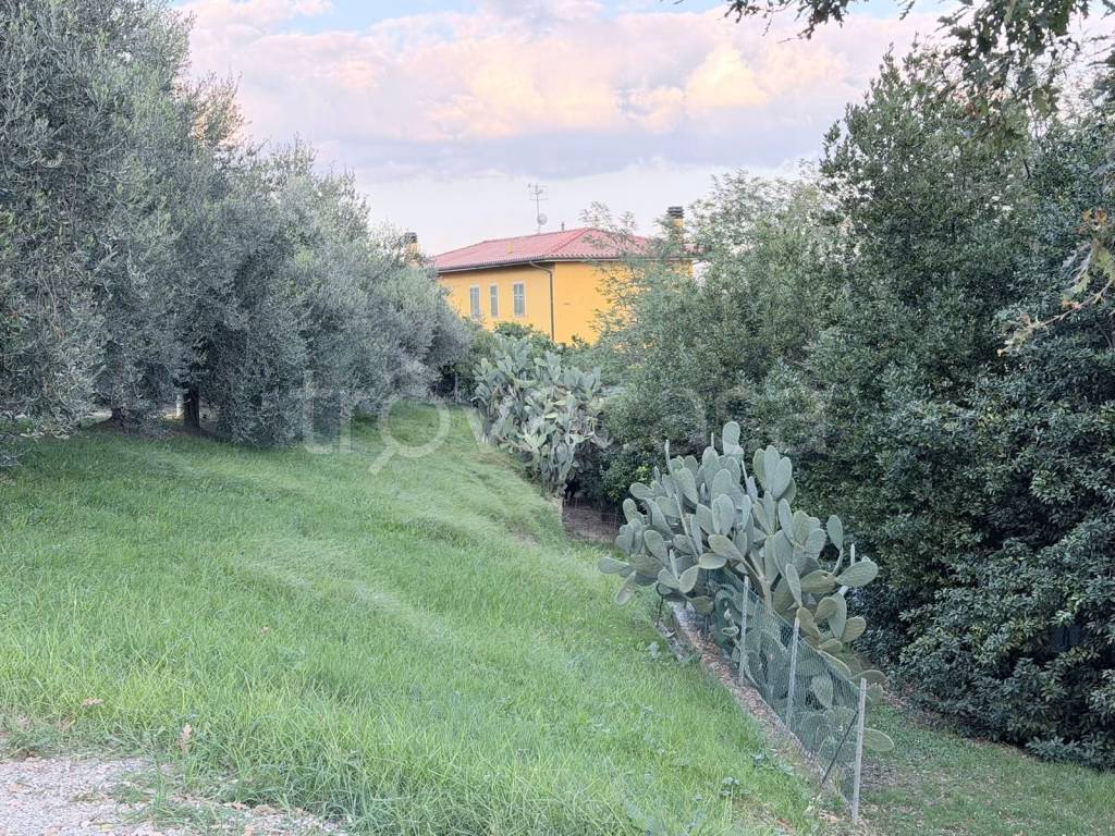 immagine annuncio 4 di 9