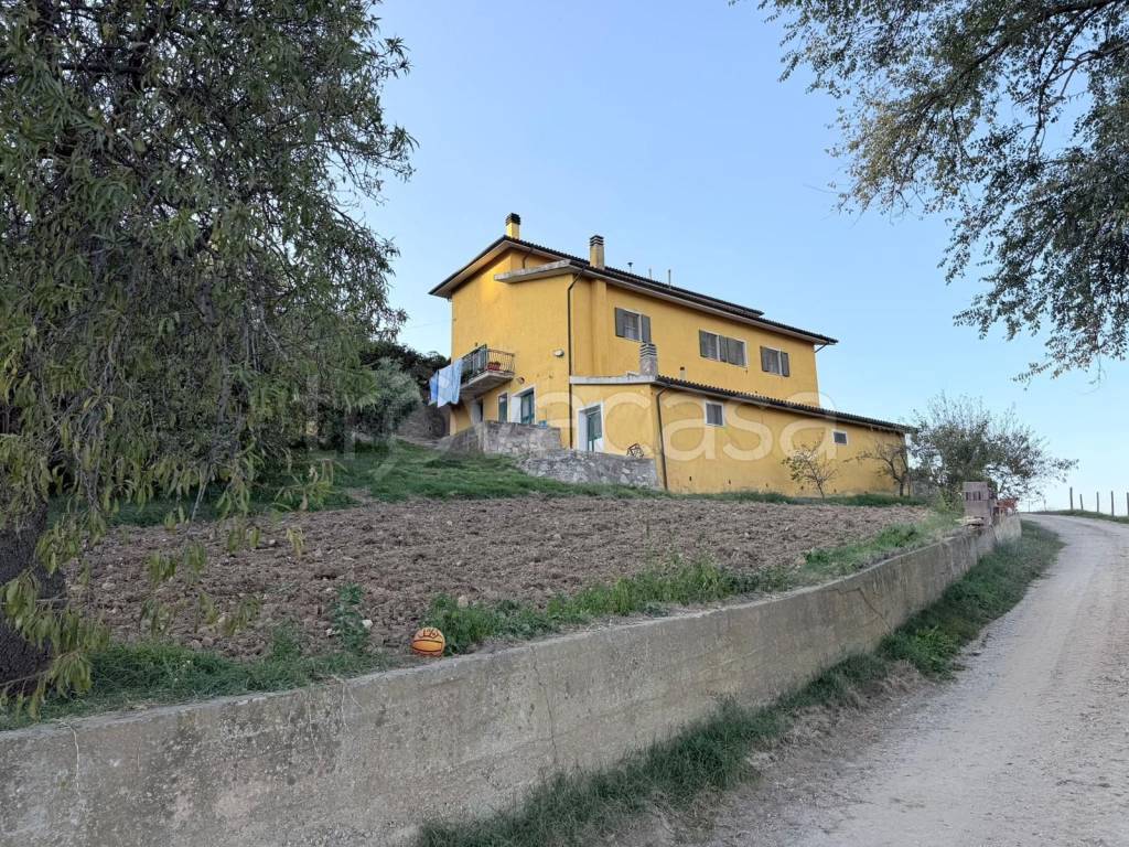 immagine annuncio 6 di 9