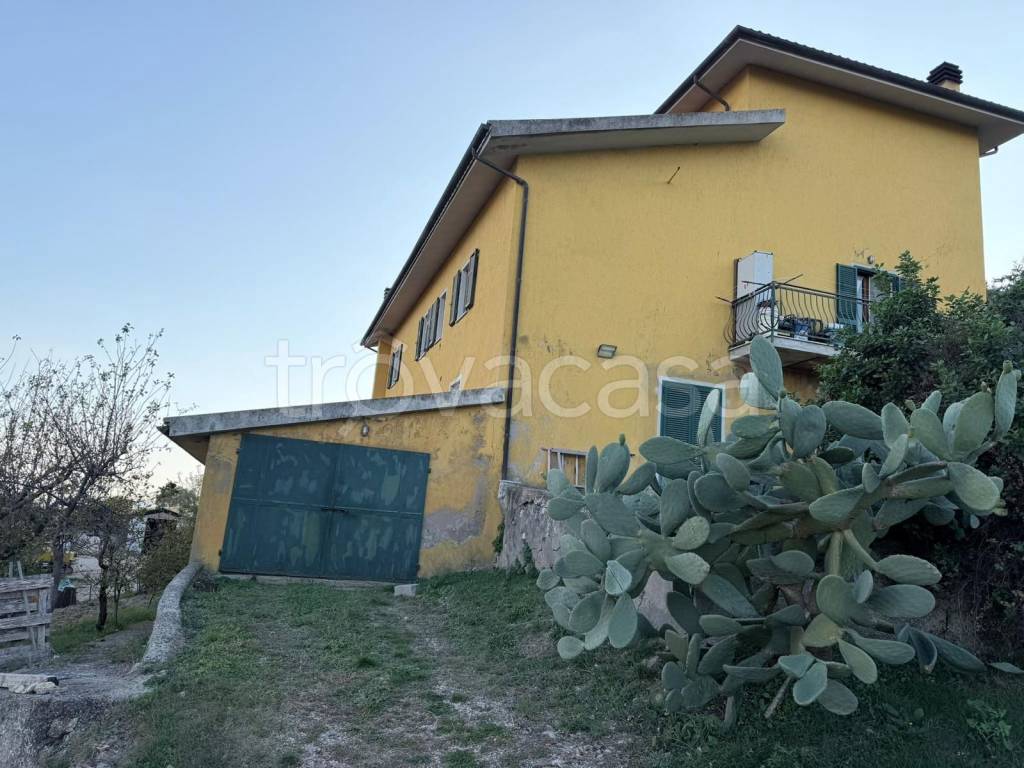 immagine annuncio 7 di 9