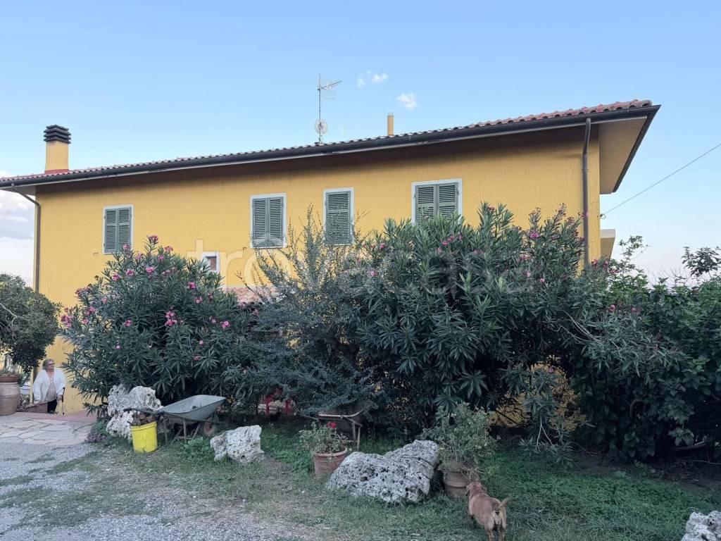 immagine annuncio 8 di 9