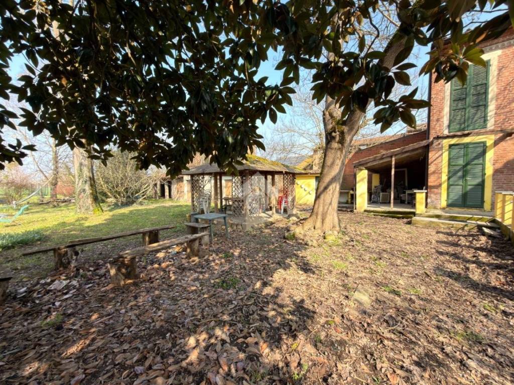 immagine annuncio 4 di 15