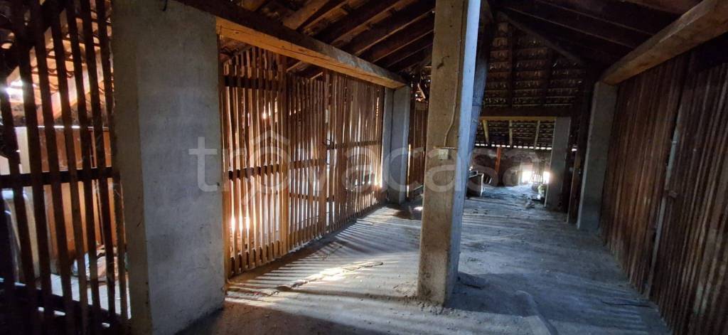 immagine annuncio 10 di 14