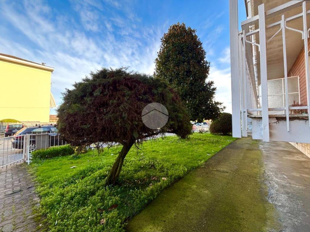 immagine annuncio 9 di 14