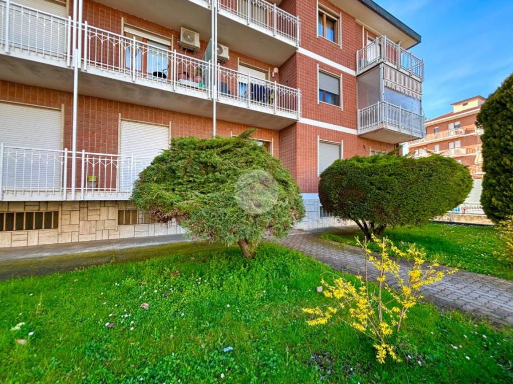 immagine annuncio 11 di 14