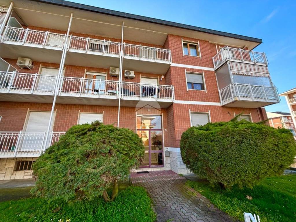 immagine annuncio 12 di 14