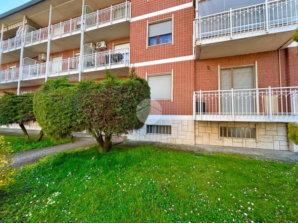 immagine annuncio 13 di 14