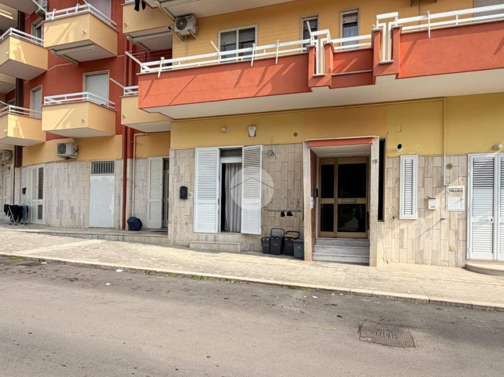 immagine annuncio 14 di 15