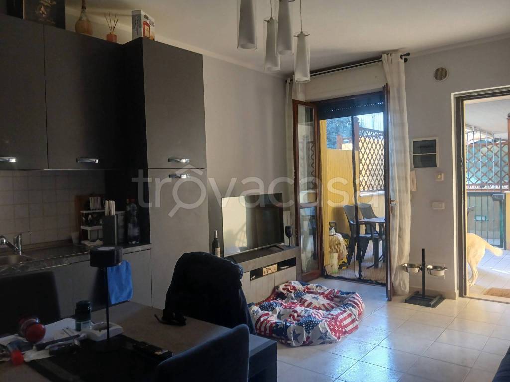 immagine annuncio 8 di 15