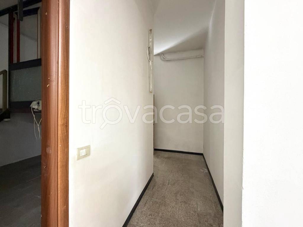 immagine annuncio 6 di 14