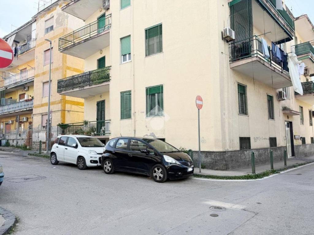 immagine annuncio 4 di 6