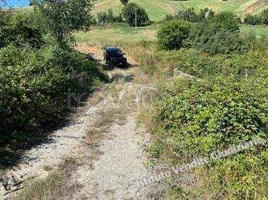 immagine annuncio 5 di 7