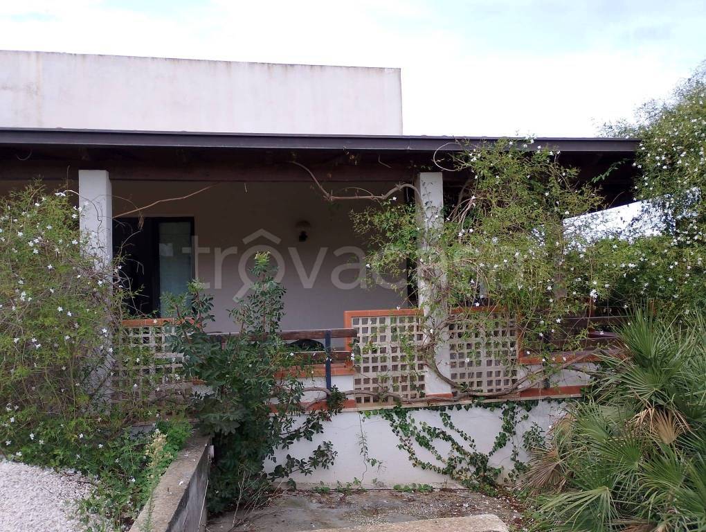 immagine annuncio 10 di 14