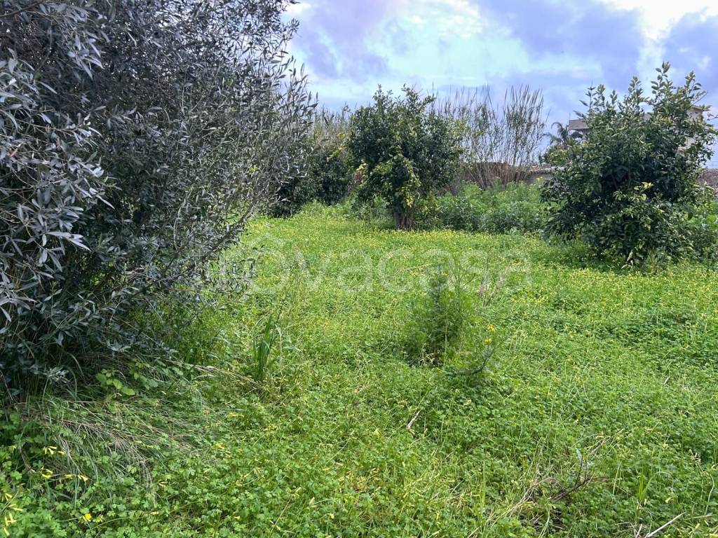 immagine annuncio 1 di 7