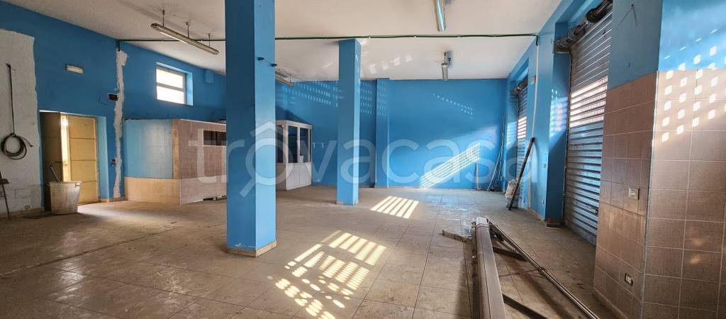 immagine annuncio 3 di 8