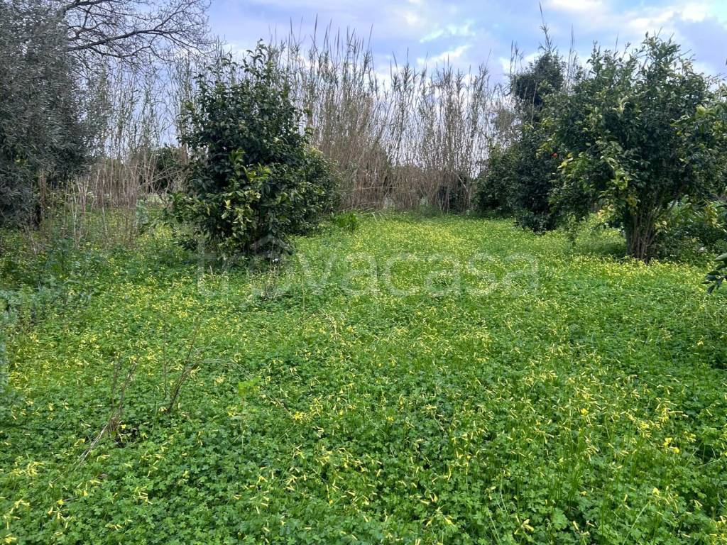 immagine annuncio 4 di 7