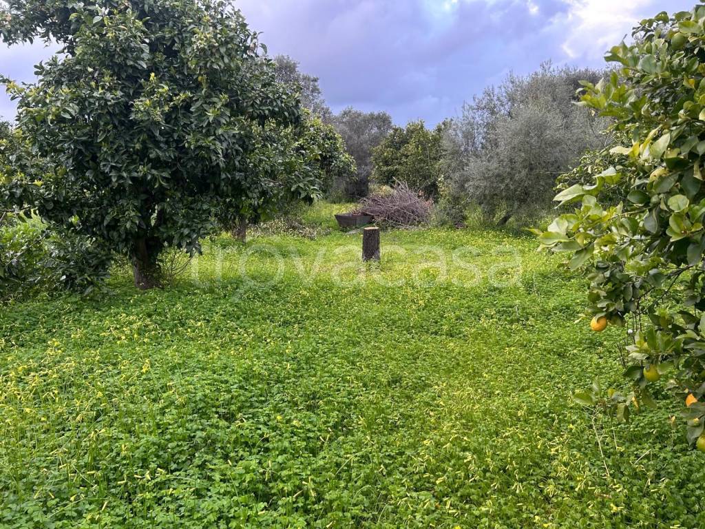 immagine annuncio 5 di 7