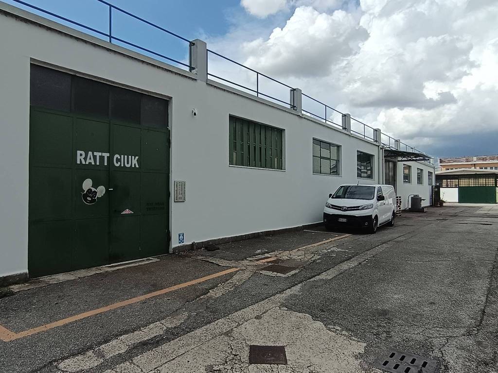 immagine annuncio 3 di 15