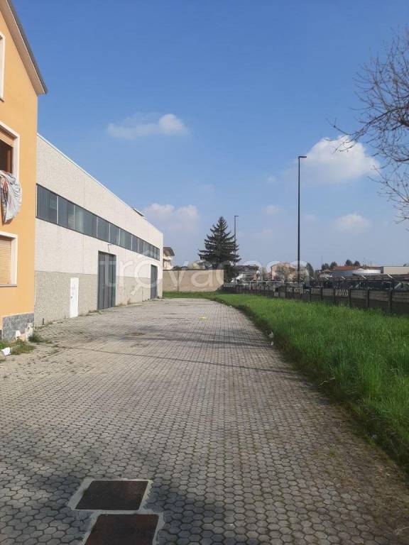 immagine annuncio 2 di 15