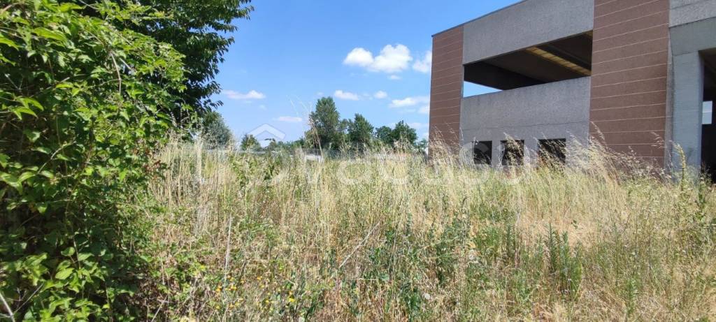 immagine annuncio 1 di 7