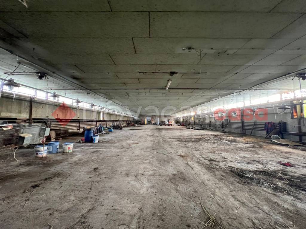 immagine annuncio 10 di 14