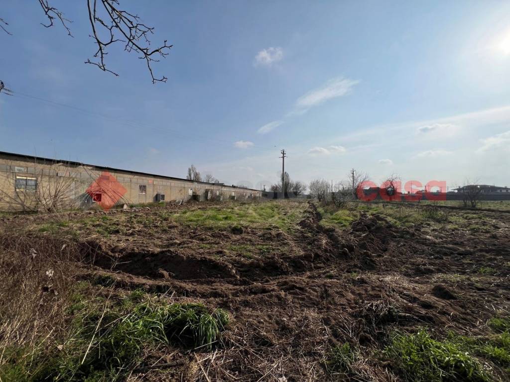 immagine annuncio 11 di 14