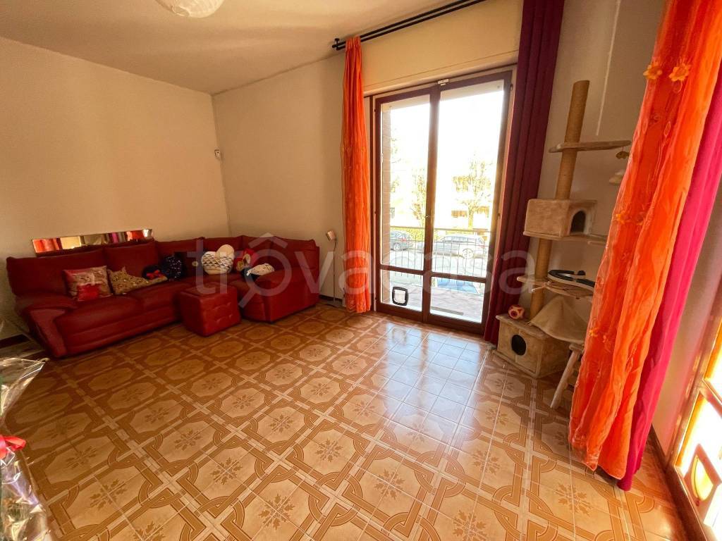 immagine annuncio 10 di 15