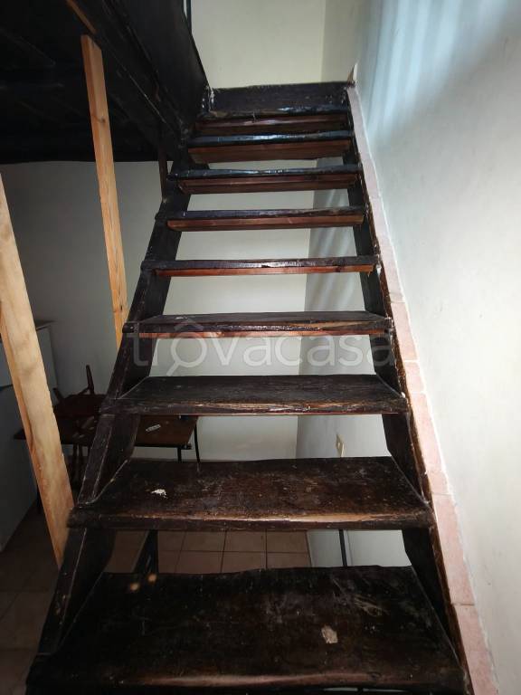 immagine annuncio 4 di 8